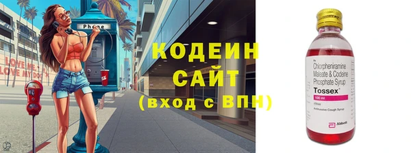 шишки Богородицк