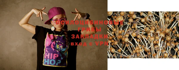 ECSTASY Новокубанск