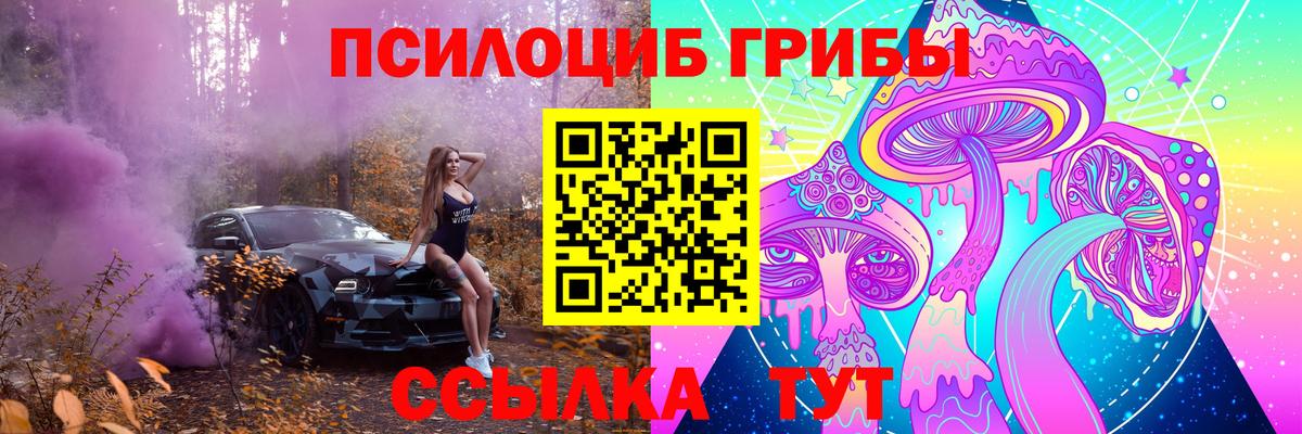 Галлюциногенные грибы Magic Shrooms Кимры