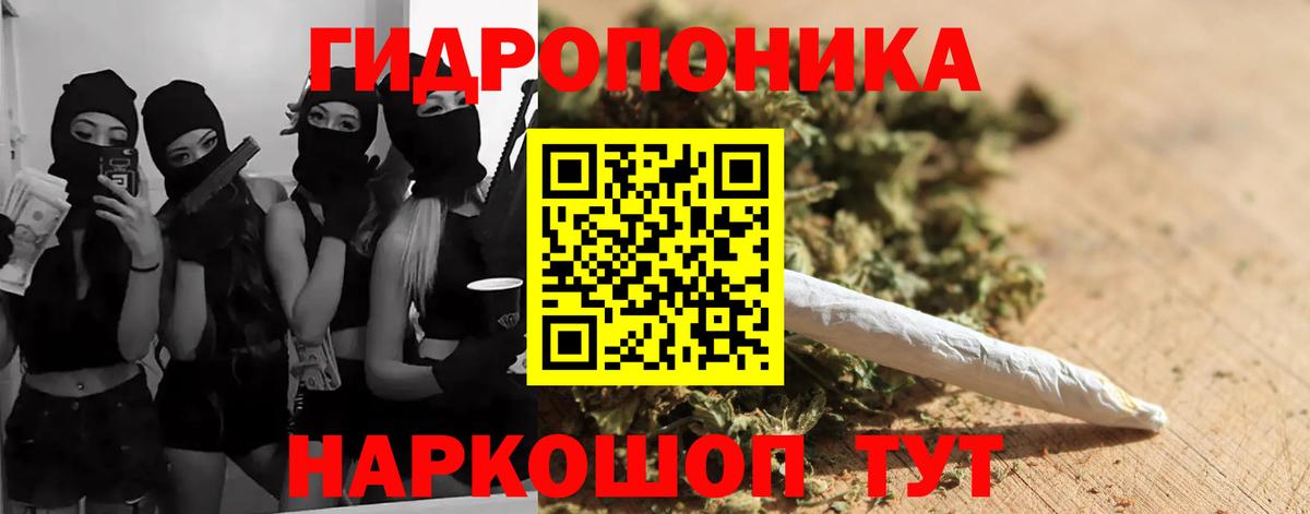 Шишки марихуана гибрид Кимры